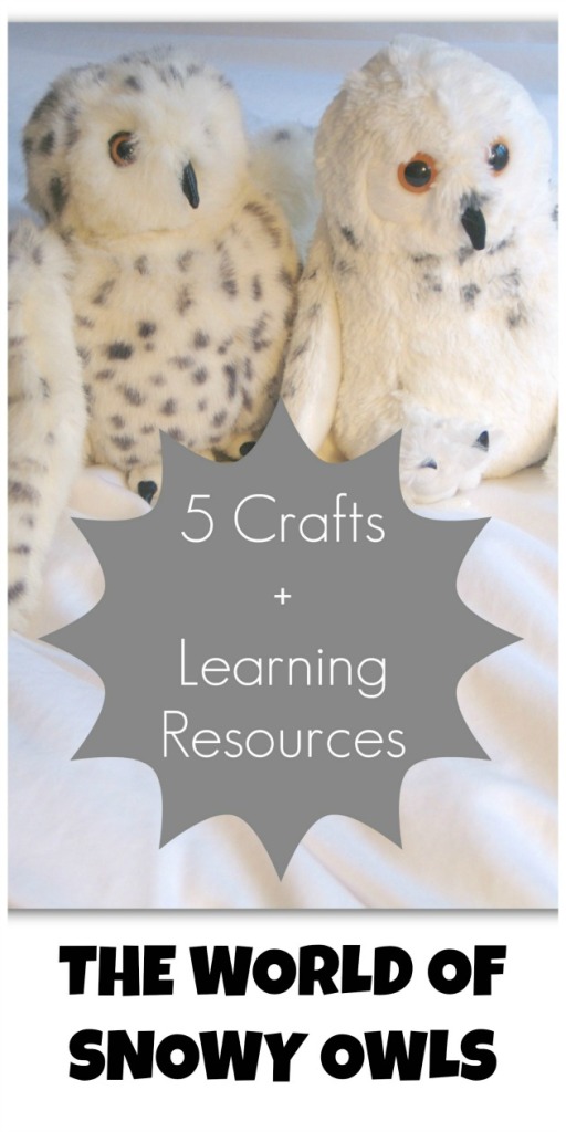 The World of Snowy Owls: 5 crafts + learning resources