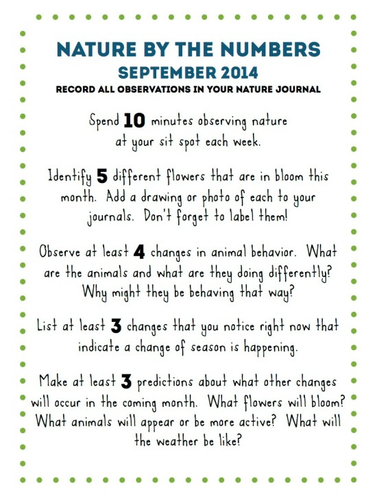 nature journaling prompts Sept 2014